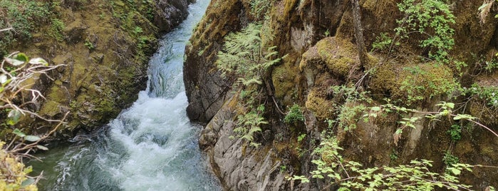 Little Qualicum Falls is one of Nanaimo.