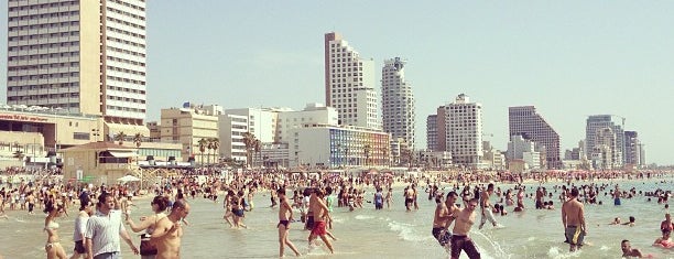 Gordon Beach is one of Tel Aviv.