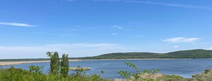 Srebarna Lake is one of Must-visit places in BG: Lakes, dams.