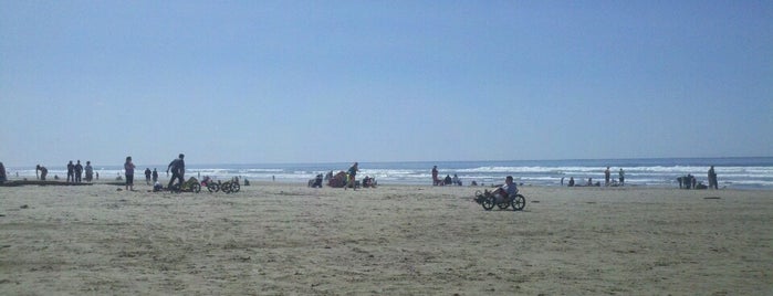 Manzanita Beach is one of Oregon Coast.