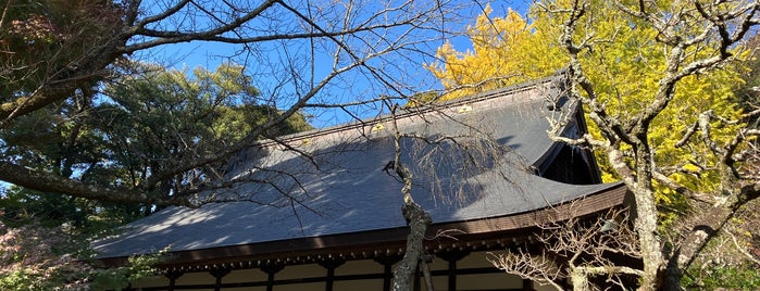Sounji temple is one of 箱根.