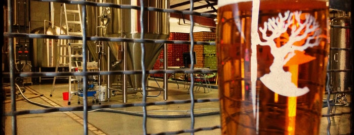 MadTree Brewing is one of Tempat yang Disukai Thomas.