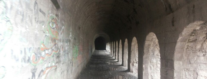 Tunel el tinoco is one of Chilecito 🗻.