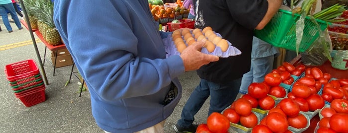 Punta Gorda Farmer's Market is one of Punta Gorda.