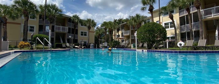 Sheraton Vistana Resort Villas, Lake Buena Vista/Orlando is one of Kaldığım Oteller.