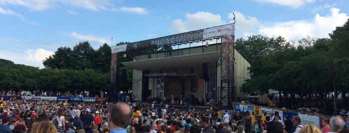Chicago Blues Festival is one of yearly events in chicagoland area.