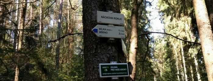 Náckova rokle is one of Ondrej : понравившиеся места.