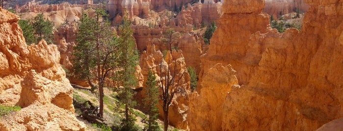 Parque Nacional de Bryce Canyon is one of National Parks.