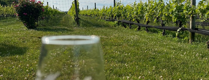 Mattebella Vineyards is one of Locais salvos de Lizzie.