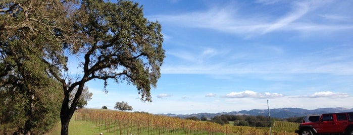 Copain Wines is one of Bay Area.