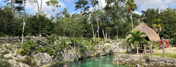 Cenote Santa Cruz is one of Mexico! 🌴🍹☀️🌊.
