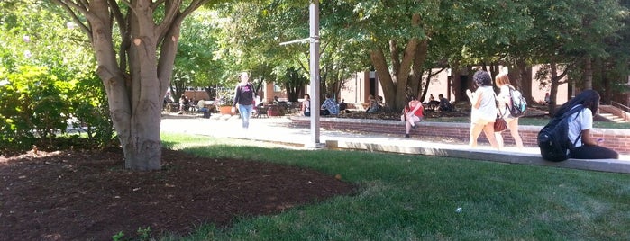 UMSL Quad is one of School.