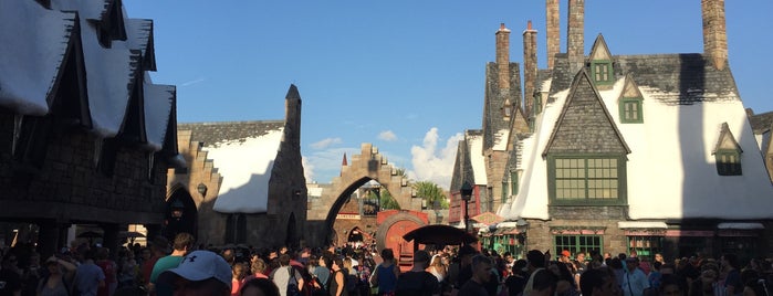 The Wizarding World of Harry Potter - Hogsmeade is one of Florida places.