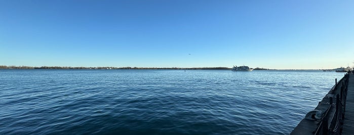 Waterfront Toronto is one of Kyoさんのお気に入りスポット.