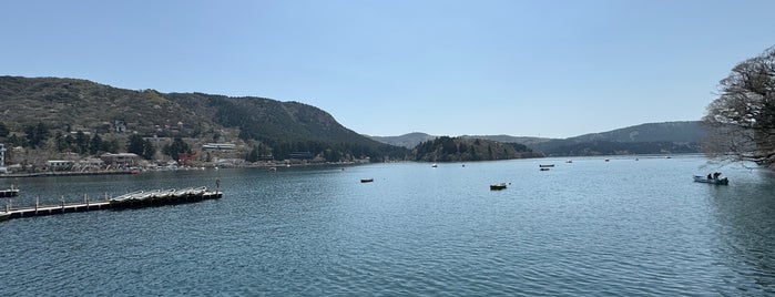 Lake Ashinoko is one of Lieux qui ont plu à Bobbie.