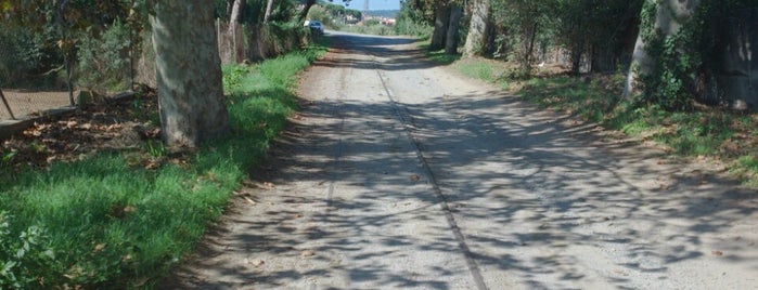 Restos de vías del antiguo Tranvía de Argentona is one of Tempat yang Disukai Carlos.