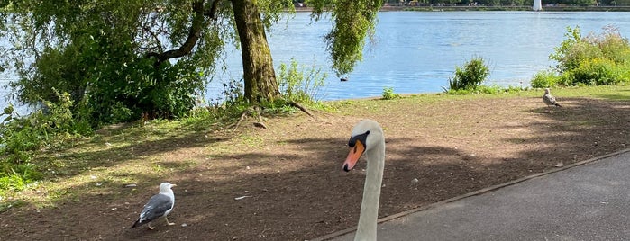 Roath Park is one of Wales.
