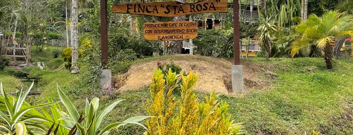 Finca Santa Rosa is one of Ruta del café - Villa Rica.