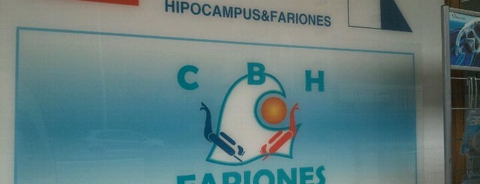 Fariones Dive Center is one of Orte, die Manel gefallen.