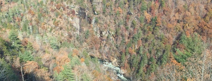 Tallulah Gorge Overlook 8 is one of Tye'nin Kaydettiği Mekanlar.