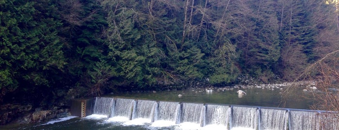 Capilano River Regional Park is one of Vancouver.