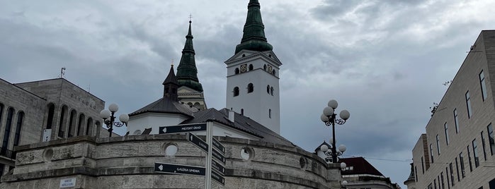 Katedrála Najsvätejšej Trojice is one of Žilina.