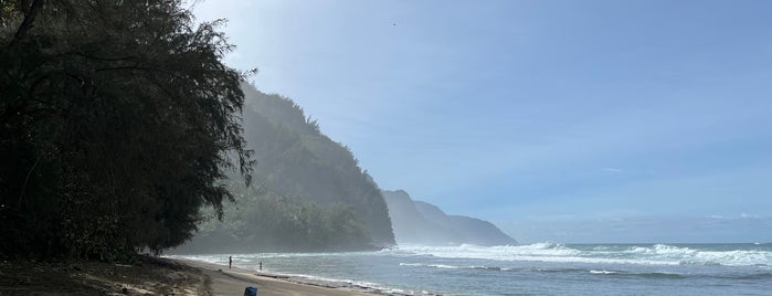 Na Pali Coast Hanalei is one of Kauai.