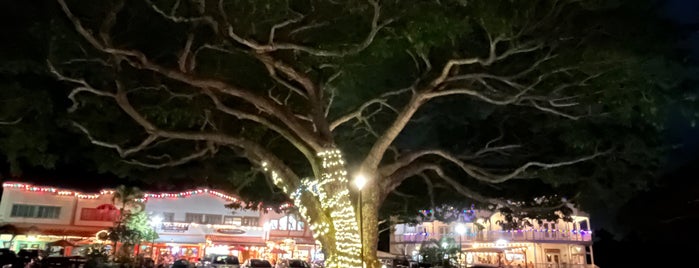 Waialua, Hawaii is one of MJ'ın Beğendiği Mekanlar.