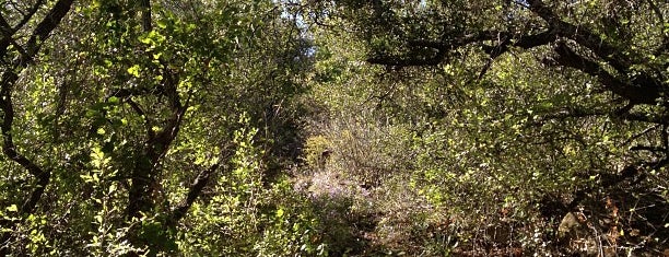 Lake Brownwood State Park is one of Texas State Parks & State Natural Areas.