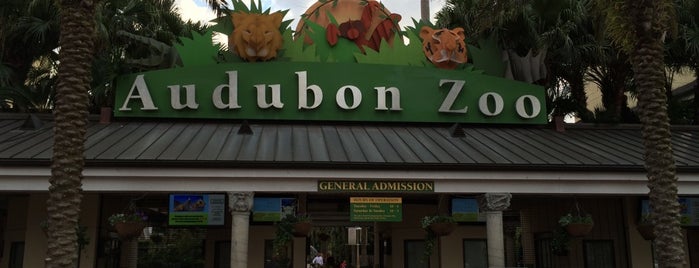 Audubon Zoo is one of 10 places to try in New Orleans.