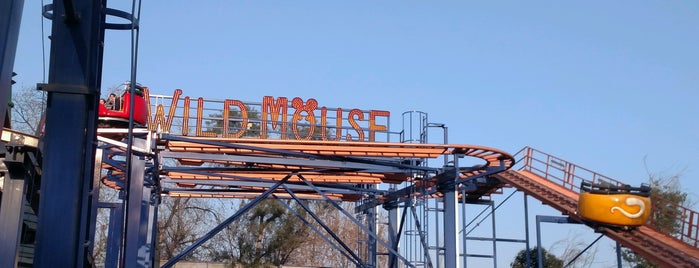 Wild Mouse is one of fantasilandia.