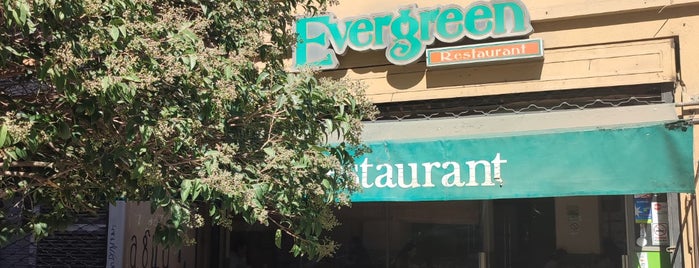Evergreen is one of Chile.