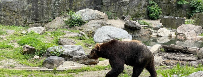 Grizzly Corner is one of Bronx Zoo.