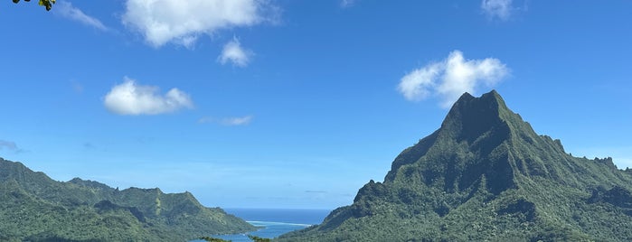 Belvedere Lookout is one of French Polynesia.