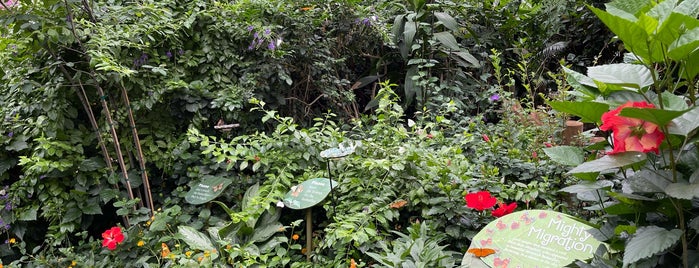 Butterfly Garden is one of Bronx Zoo.