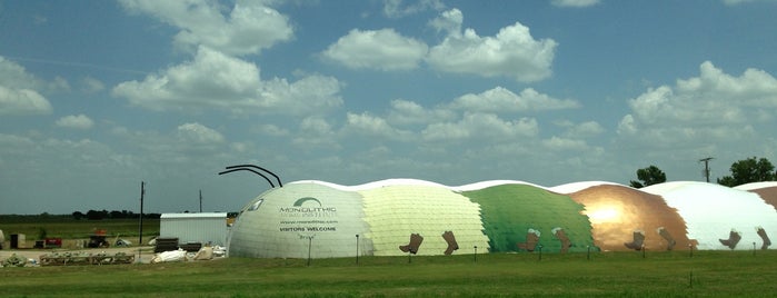 World's Largest Caterpillar is one of Plan To a Visit.