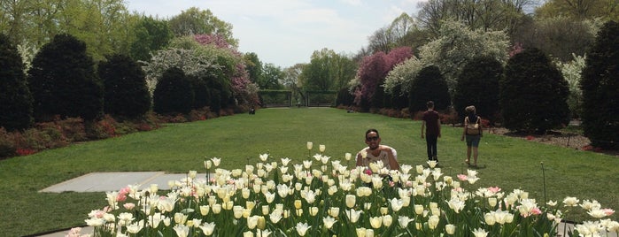 Brooklyn Botanic Garden is one of New york.
