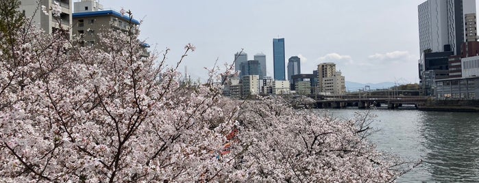 大川沿い桜並木 is one of Osaka Eats/Drinks/Shopping/Stays.