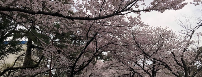 新翠橋 is one of 夙川にかかる橋.