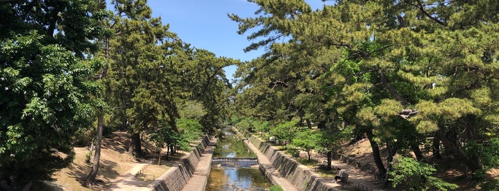 大井手橋 is one of 夙川にかかる橋.