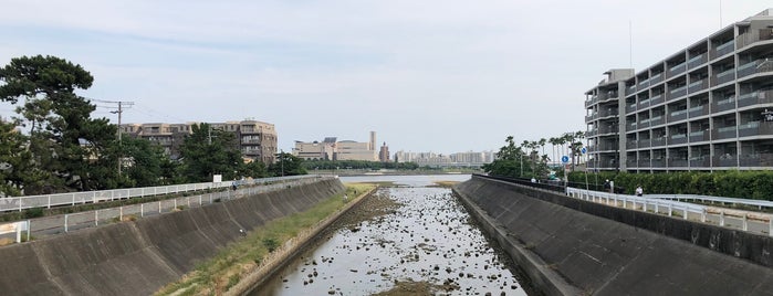 浜夙川橋 is one of 夙川にかかる橋.