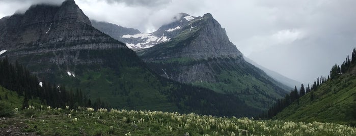Jackson Glacier is one of Banff, Jasper & Glacier National Park 🏔.