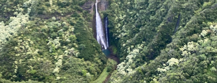 Manawaiopuna Falls (Jurassic Falls) is one of Kauai.