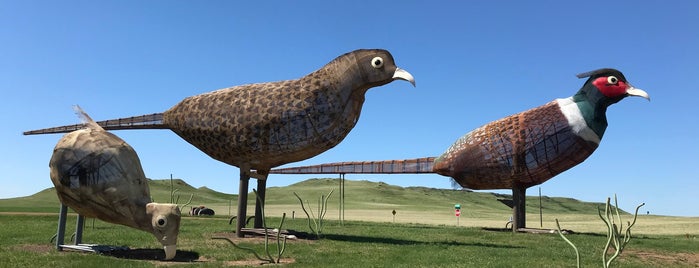 Pheasants on the Prairie is one of Las Vegas Road Trip.