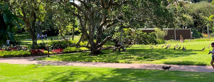 Durban Botanic Gardens is one of Durban.