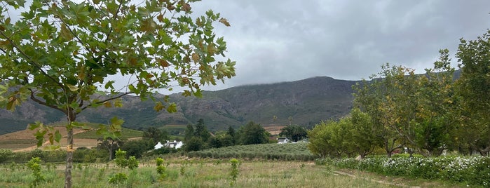Oldenburg Vineyard is one of The Mother City.