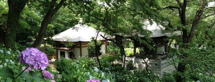 長尾山 妙楽寺 is one of Tempat yang Disukai _h_t_i__e_K__.
