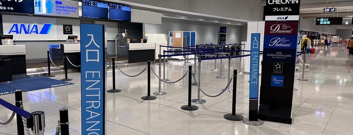 ANA Check-in Counter (Domestic) is one of 要注意.