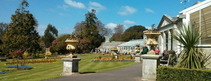 Bicton Park Botanical Gardens is one of สถานที่ที่ Wayne ถูกใจ.