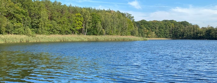 Großer Seddiner See is one of Lugares favoritos de Christoph.